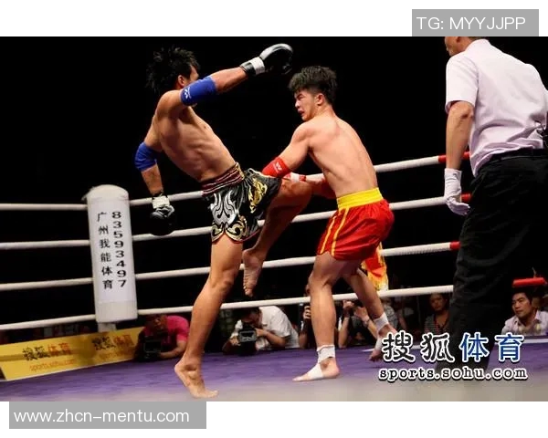 泰拳与散打的对决解析：技术风格与实战效果的全面比较